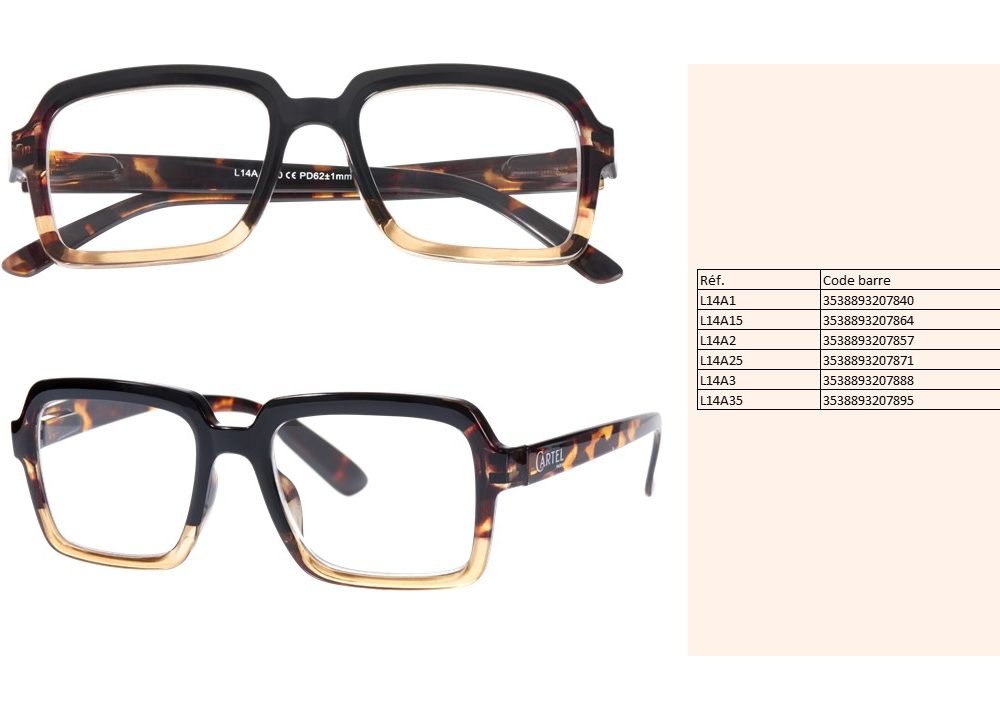 Diapositive33-1[10832]