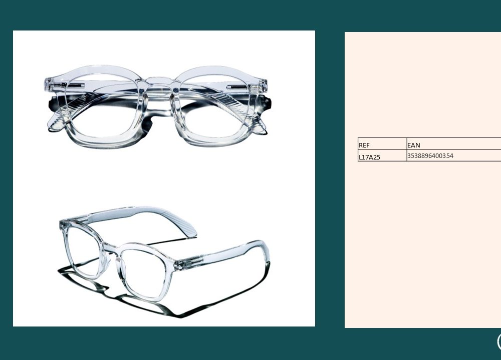 Diapositive32-2[10835]