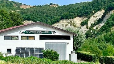 piante-officinali-appennino-unimore-summer-school-870x500