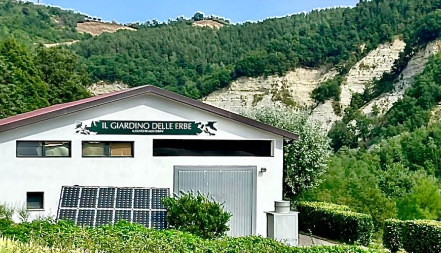 piante-officinali-appennino-unimore-summer-school-870x500