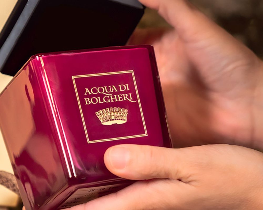 xr:d:DAFzAXeUkl8:2,j:1467455504627868351,t:23110209