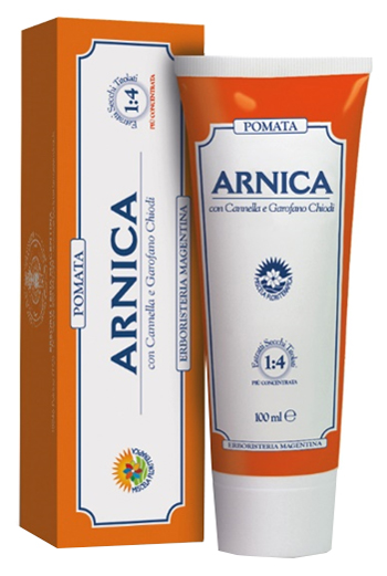 ARNICA FORTE POMATA 100 ML ARNICA FORTE POMATA 100 ML