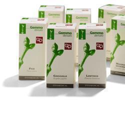 VISCHIO MACERATO GLICERICO 50 ML