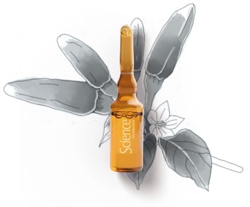 SCIENCE LOZIONE PREVENZIONE CADUTA CON ADENOSINE 4 FIALE 5 ML SCIENCE LOZIONE PREVENZIONE CADUTA CON ADENOSINE 4 FIALE 5 ML