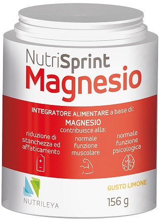 NUTRISPRINT MAGNESIO POLVERE 156 G NUTRISPRINT MAGNESIO POLVERE 156 G